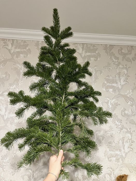 Ветки нобилис / лапы / ветки ели / ёлочные лапы на новый год