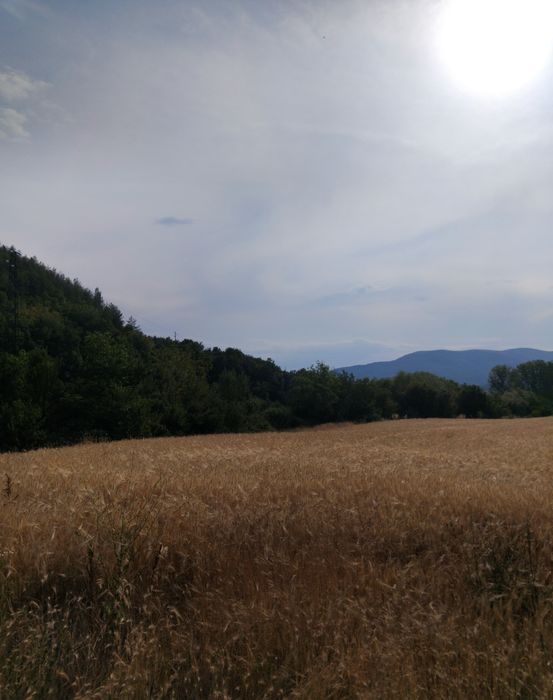 Продава парцел в с.Слатино