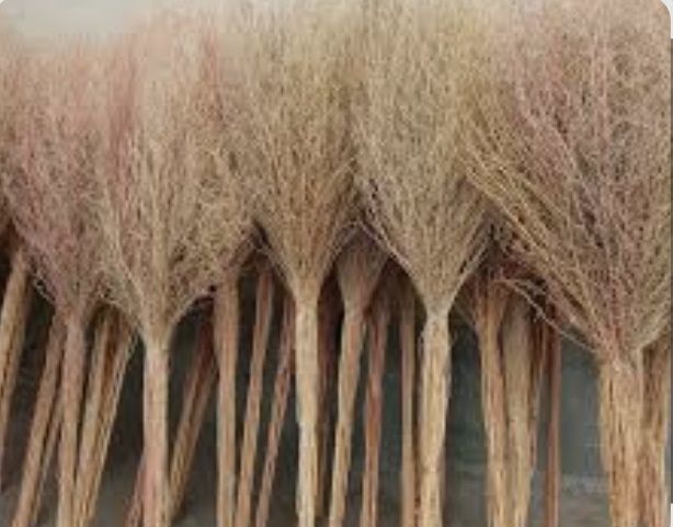 Коча шпрадгон шпрги