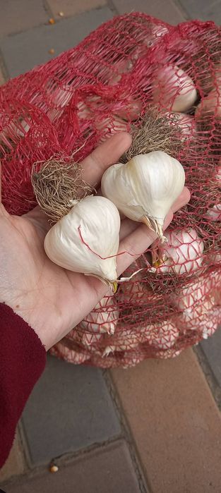 Pachetul cămară completa