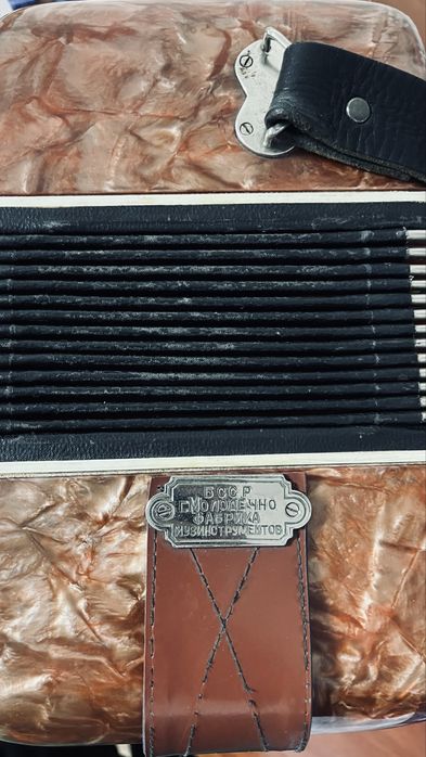 Гармошка с футляром.