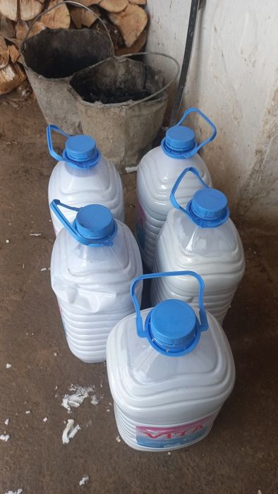 Қымыран түйе сүті