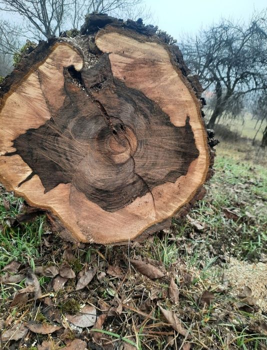 Rondele de nuc  sau alte esente / lemn, fosne de nuc,  mese lemn nuc