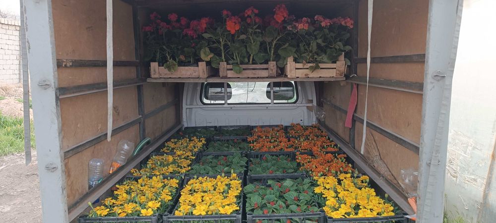 Kochat va boshqa yuk tashish hizmati