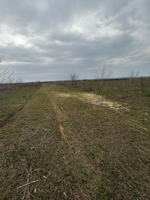 Defrișăm terenuri