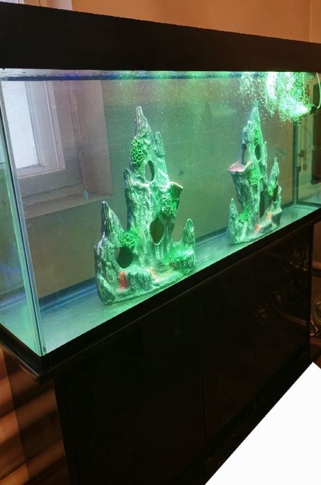 Akvarium katta sotiladi