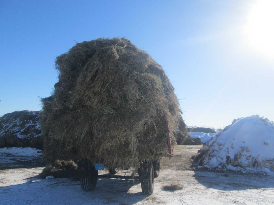 Тракторный прицеп 2 ПТС-4