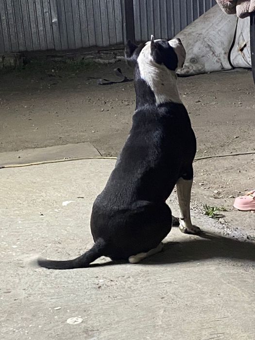 Кабель на вязку