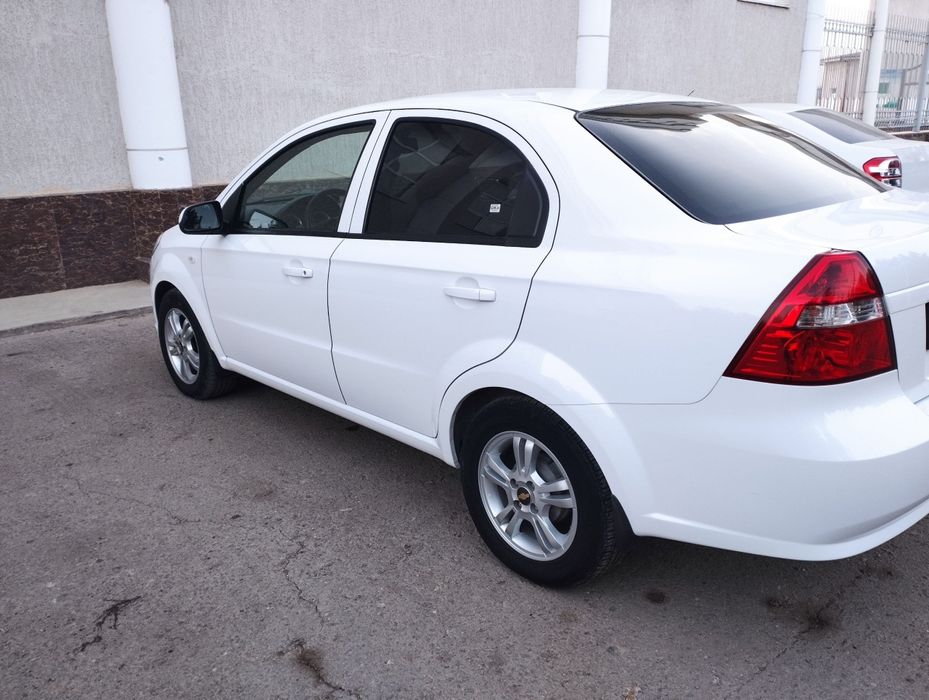 Mnexia 3 2021 kraska toza