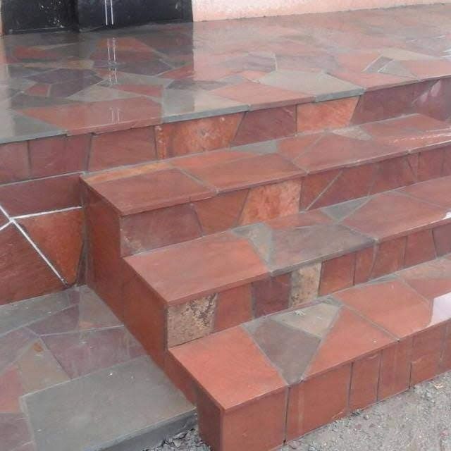 Плитняк разных видов