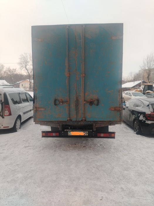 Бычки и телочки лошади