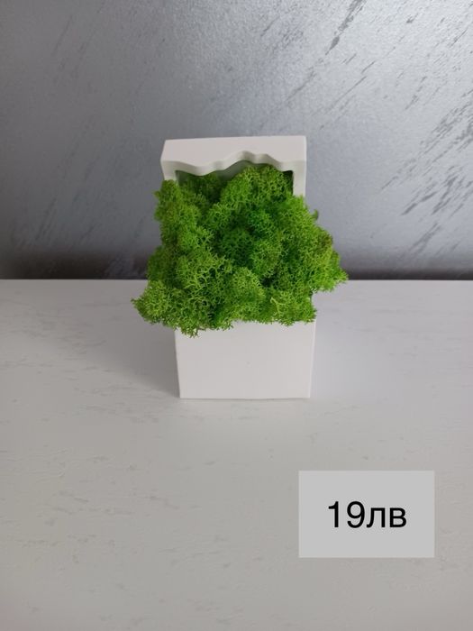 Декоративни кашпи с естествен скандинавски мъх