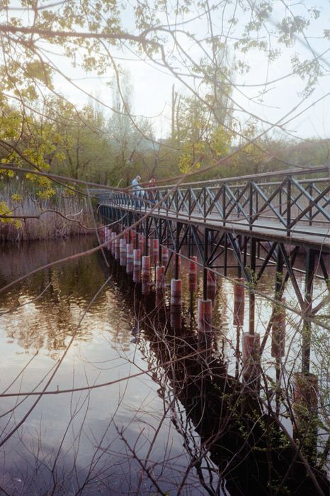 Olympus af-1  ( nu canon nikon yashica minolta rollei )