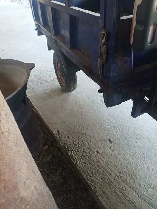 Муравей сотилади