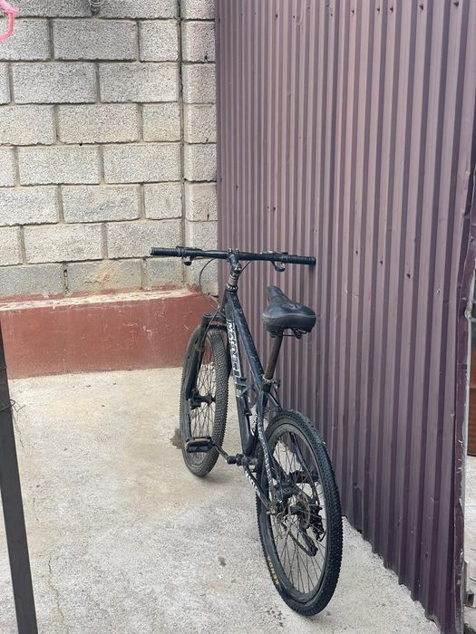 Велик шымкент қаласы