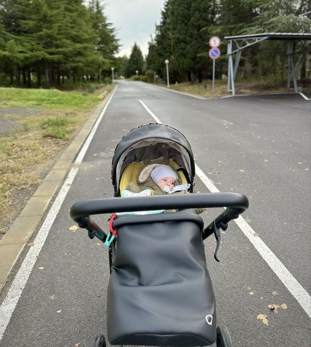 Бебешка количка  ANEX  2В1 E/TYPE art special edition