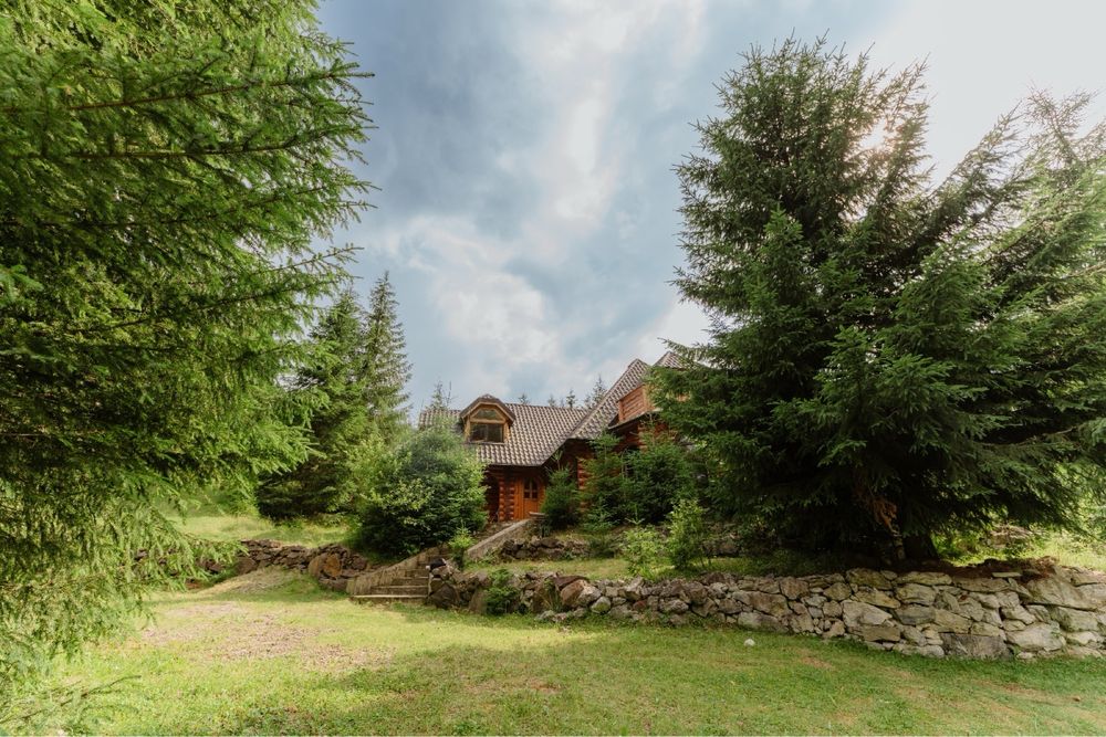 Cabana de vanzare Vatra Dornei (Darmoxa)