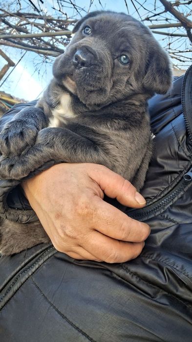 Момиченце игриво