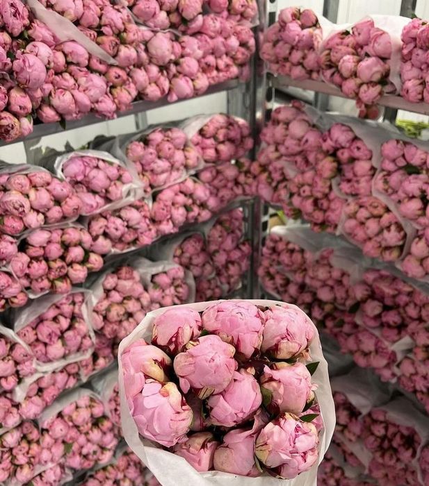 Тюльпаны, герберы, хризантемы, ромашки, пионы, розы