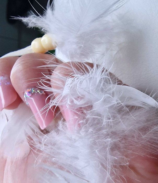 Unghii cu gel voluntari