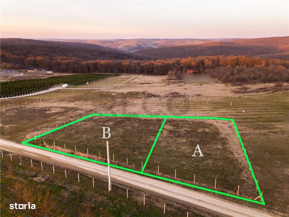 RECO Teren intravilan in Saldabagiu de Munte