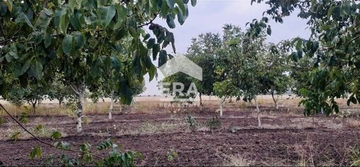 Продава се Земеделски имот в с. Семерджиево, Област Русе -  кв.м за 3 €/дка - Снимка #1