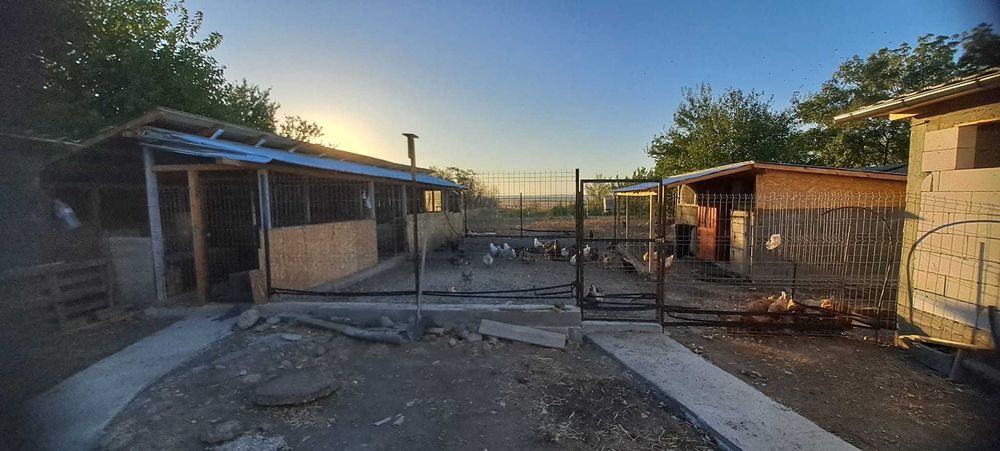 Casă de vânzare- Brancoveni olt- preț neg.