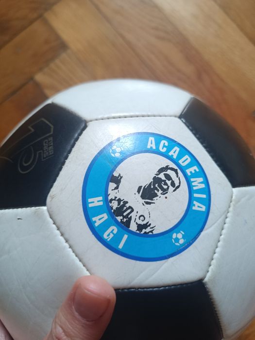 Minge academia hagi semnată