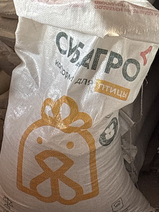 корм для кур несушек