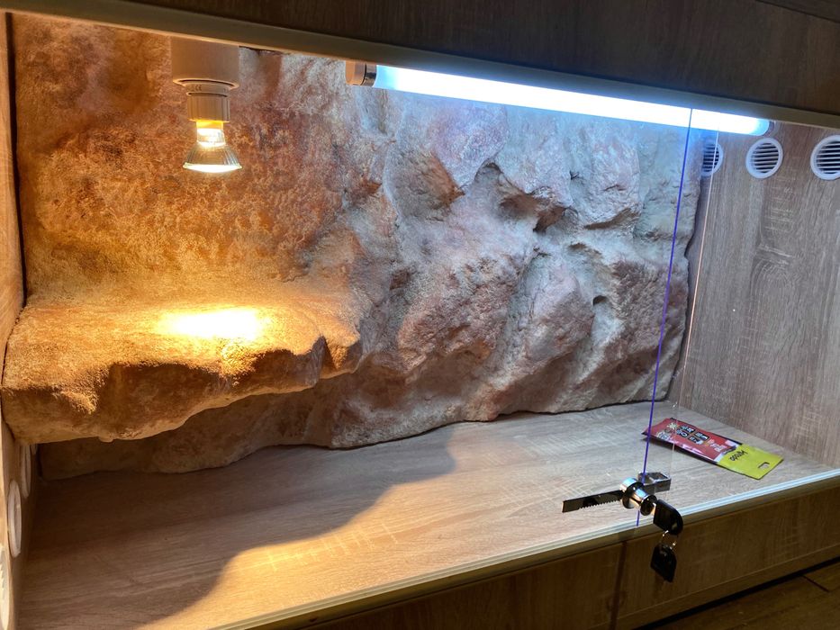 Terarii pentru reptile