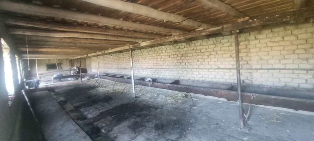 Узимни уйимни сотаман,Янги Тошкент лойихаси худудида жойлашган