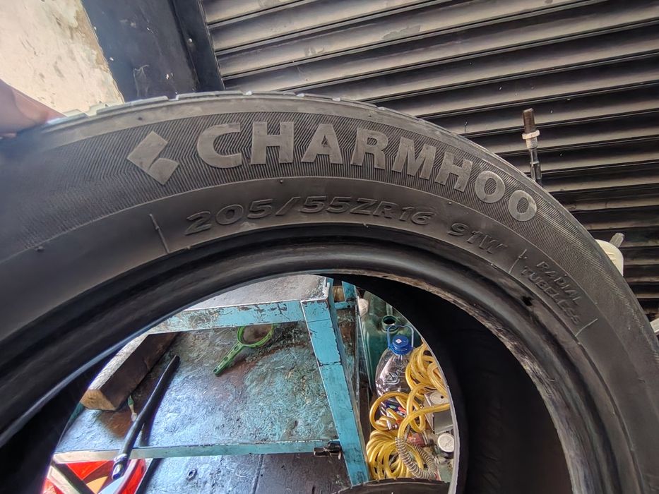 Чармхоо балон размер 205/55 R16