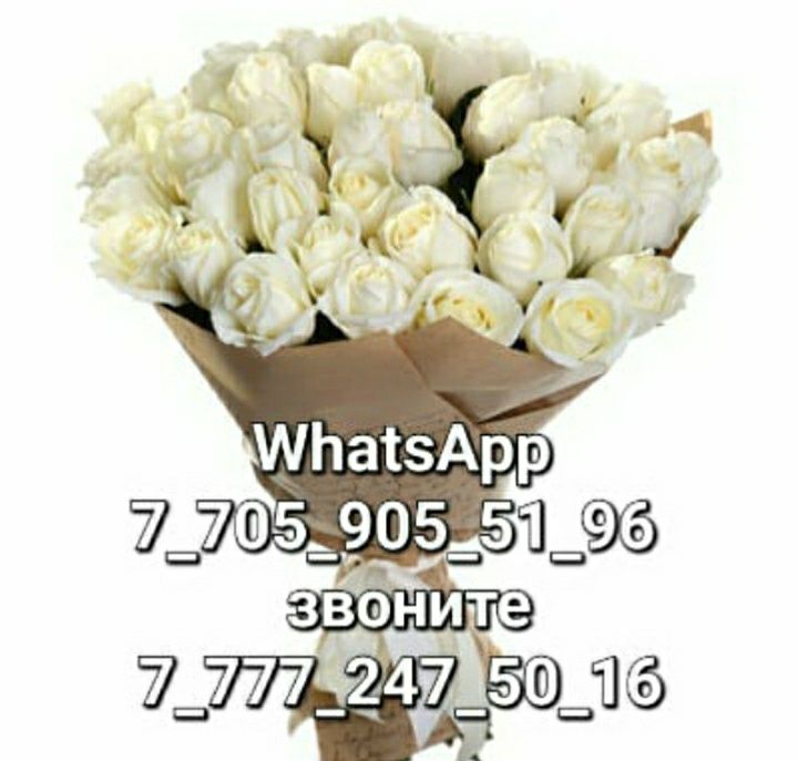 Однакомнатая рн Евразия, Сатпаева