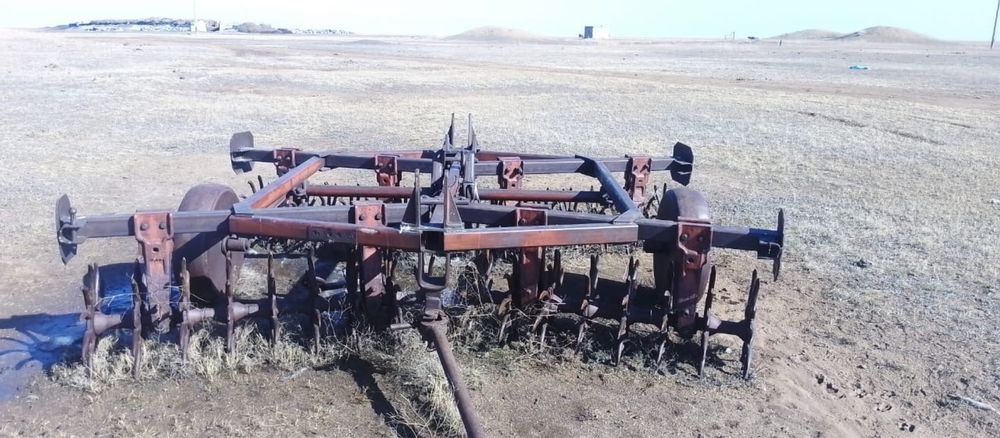 Борана игольчатая