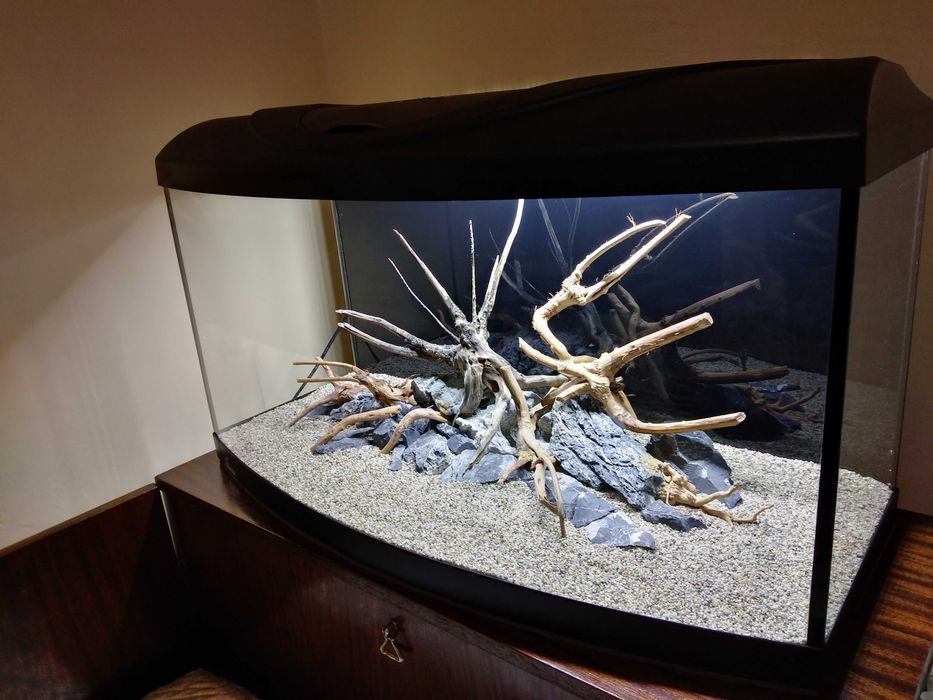 Аквариум Diversa