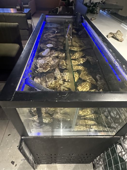 Аквариум для морепродуктов