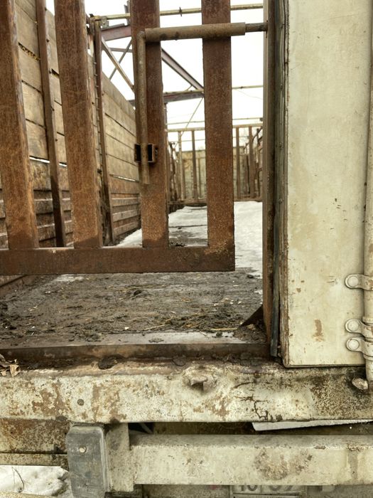 Продам скотовоз.