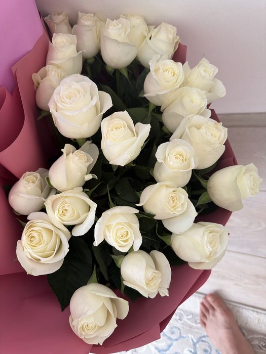 Цветы розы  25 штук көкжайлау