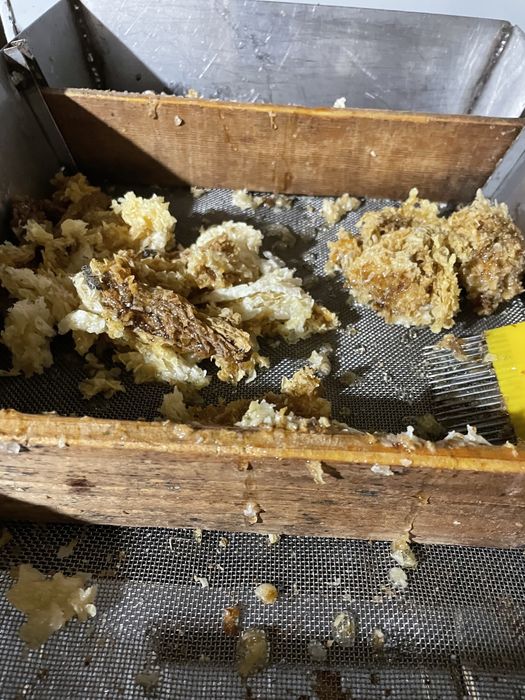 Vând miere naturală 2025