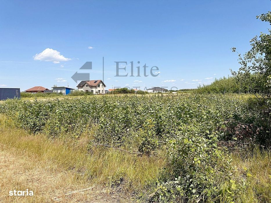 Teren intravilan 1114 mp Sanmartin