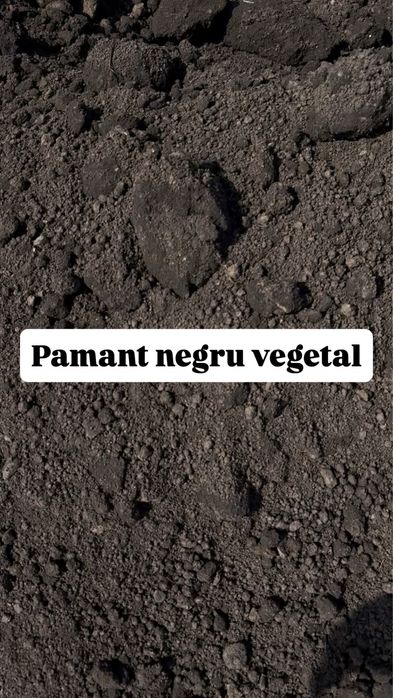 Pamant negru vegetal de calitate / nisip / pietris etc