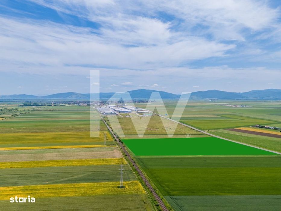 Teren de vanzare I 8 Euro/ mp I Deschidere la drum - Harman