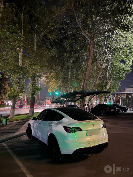 tesla modul Y dual motor