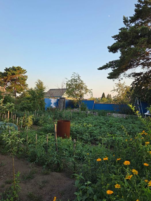 Продам дачу двенадцать соток