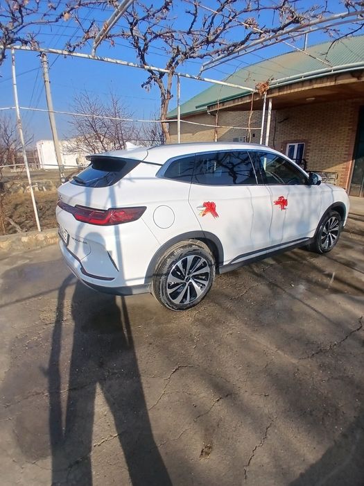 BYD CHEMPION туй маросимлар учун