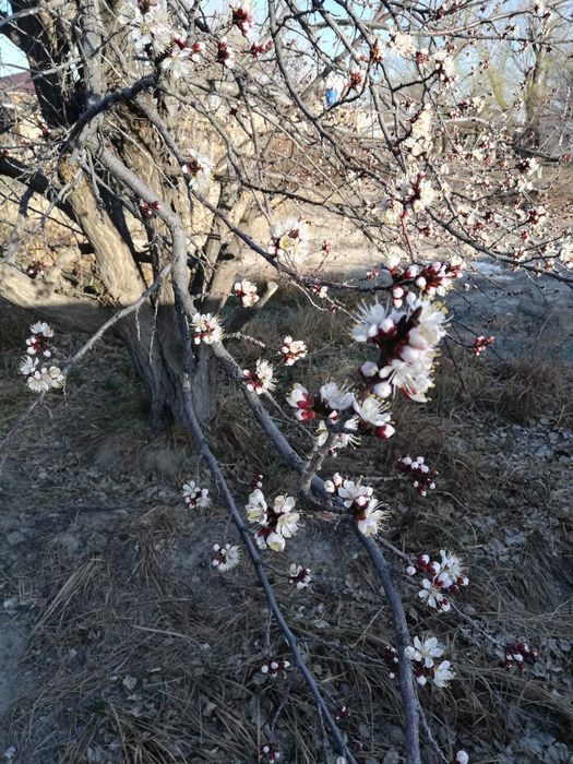 Работа по саду и огороду!