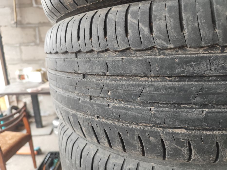 Жазгы донгелектер сатылады