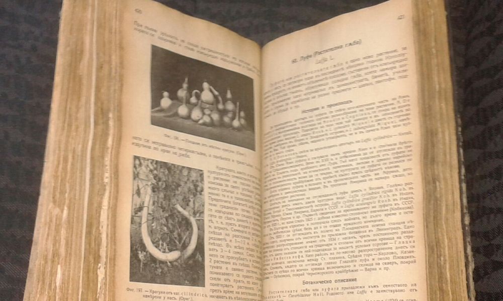 Основи на зеленчукопроизводството в България 1941 г