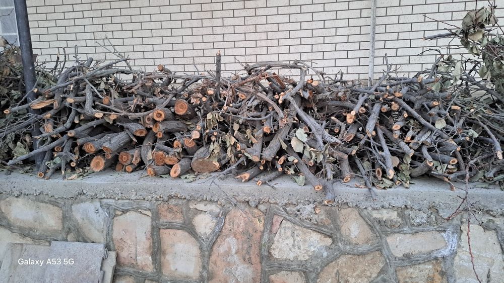 Урик дарахти утинлари сотилади