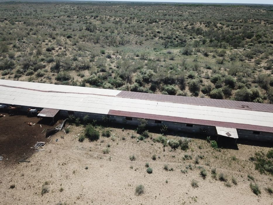 Продам фазенды. 3600 га.  Баканас.